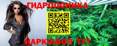 марихуана Будённовск